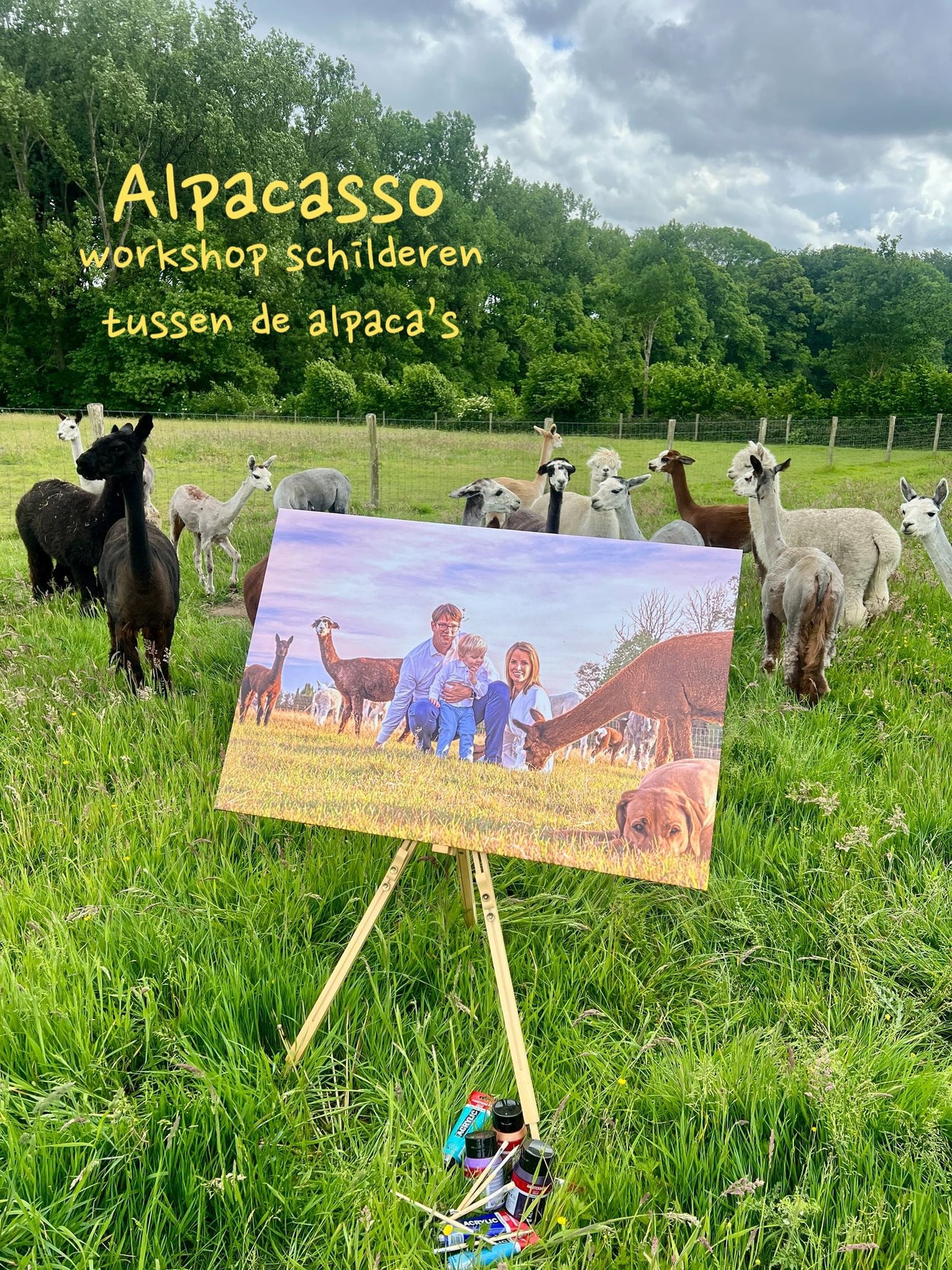Alpacasso - workshop schilderen