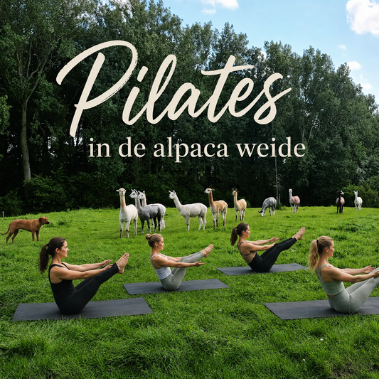 Pilates met alpacas